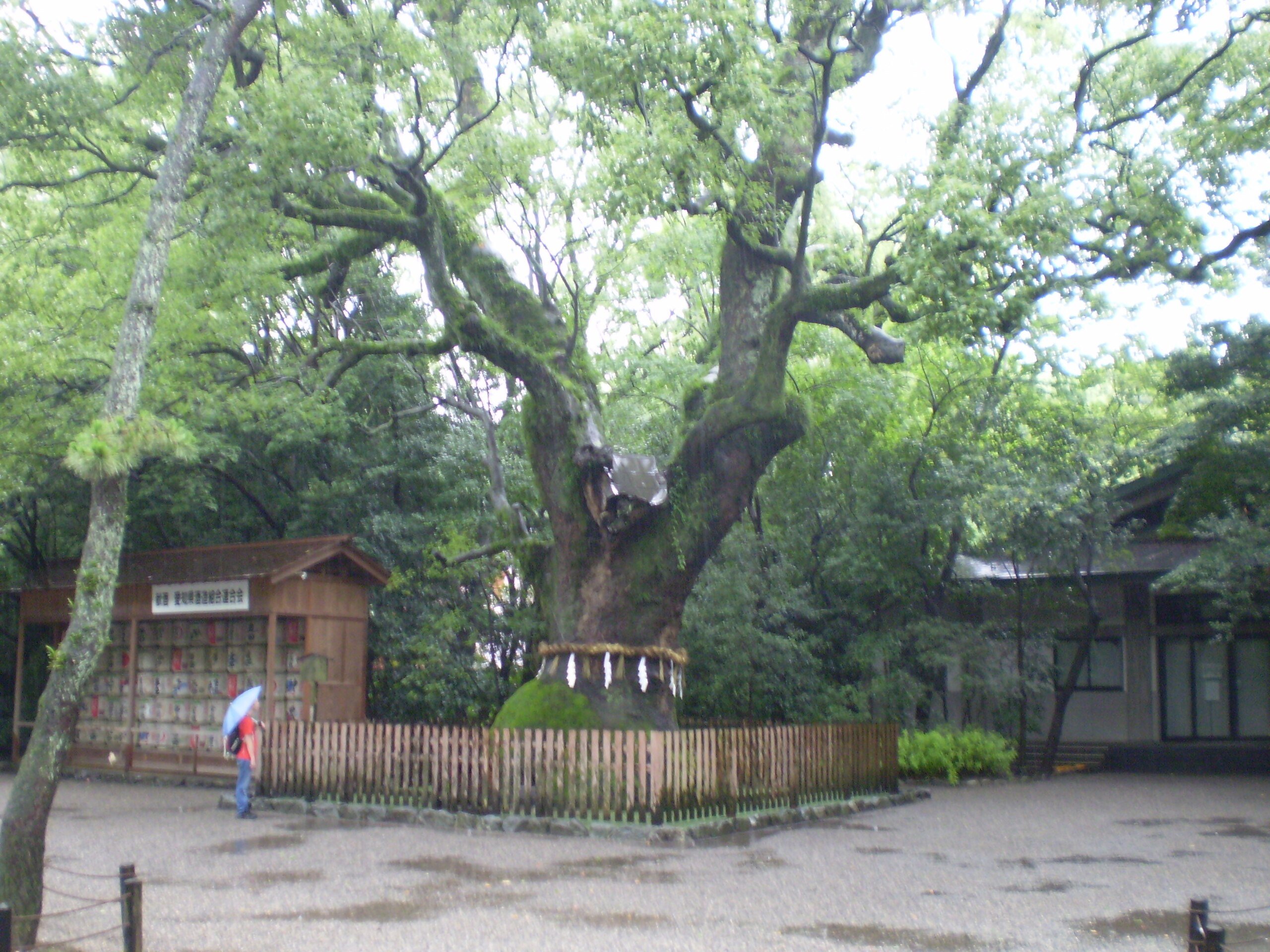 ⛩️ 아쓰타 신궁 이미지 6